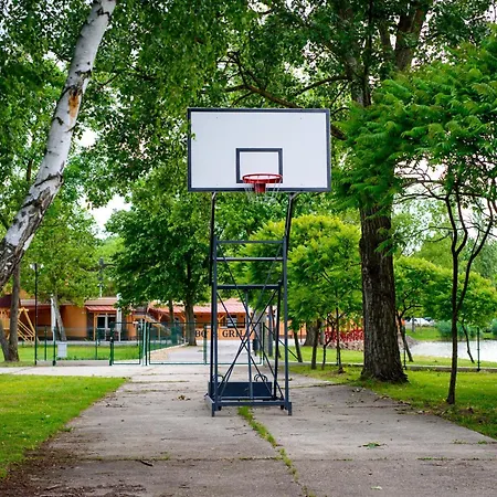 Irány Colorado * Nyíregyháza