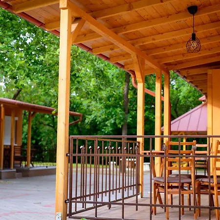 Irany Colorado * Mestecǎneşti